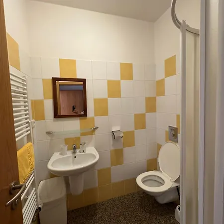 Bouda Pod Snezkou بيت ضيافة بيك بود سنيزكو
